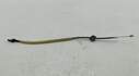 Трос двери Ford Focus 2 2005-2008 - 55393067