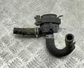 Помпа Ford Transit (Tourneo) Custom 2012-2025 - 55399997
