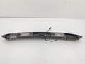 Подсветка номера Renault Megane 2 2002-2009 - 55416829