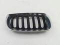 Решетка радиатора BMW X3 E83 2003-2010 - 55428309