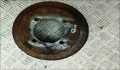 Тормозной диск Mitsubishi Galant 8 1997-2003 - 55429162