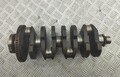 Коленвал Audi A4 (B6) 2000-2006 - 55456466