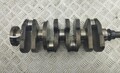 Коленвал Citroen Jumper (Relay) 1994-2006 - 55456557