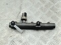 Рампа (рейка) топливная Audi A6 (C6) 2004-2011 - 55466729