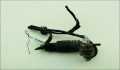 Насос омывателя Volkswagen Passat 6 2005-2010 - 55475621