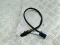 Лямбда зонд Citroen C4 2004-2010 - 55480511
