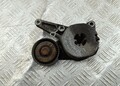 Натяжитель ремня Volkswagen Passat 5 1996-2001 - 55480722