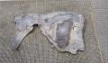 Защита арок (подкрылок) Mercedes C W205 2014-2023 - 8050767