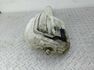 Бачок омывателя Mercedes Sprinter 2006-2014 - 90254676