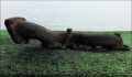 Выпускной коллектор Land Rover Discovery 3 2004-2009 - 90287055