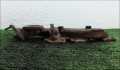 Выпускной коллектор Land Rover Discovery 3 2004-2009 - 90297962