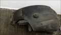 Защита арок (подкрылок) Land Rover Range Rover Sport 2013-2022 - 90299331
